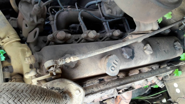 เทนเลอร์ เทนเลอร์