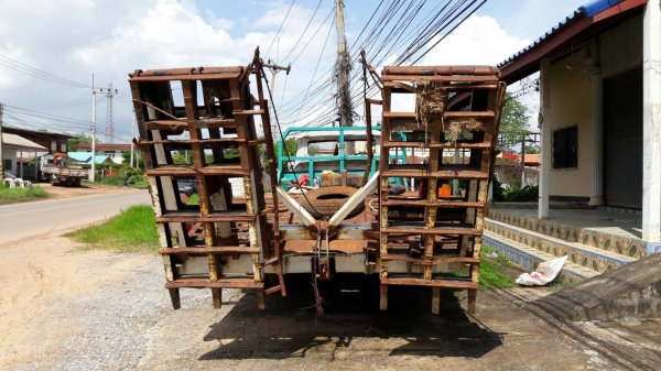 เทนเลอร์ เทนเลอร์