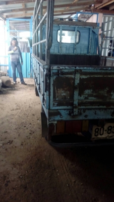 ขาย4ล้อกลาง อิซูสุ NKR. 100. แรง เอกสารพร้อมโอน