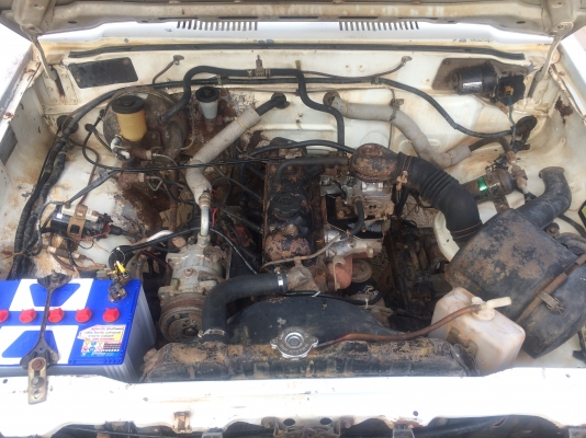 ม้ากระโดด 4 ขอ ม้ากระโดด 4 ขอ