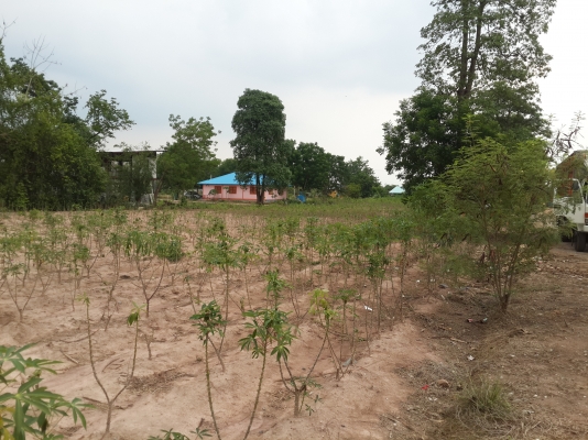 ขายที่ดินเปล่า ที่ อ.พนมสารคาม ขายที่ดินเปล่า ที่ อ.พนมสารคาม