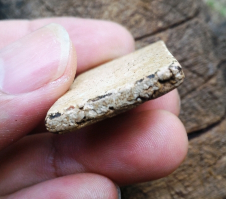 พระสมเด็จวัดระฆัง พิมพ์ใหญ่ AA01 เนื้อสวยจัดๆ เม็ดสวยมวลสารเพียบ เนื้อหาควรค่าแก่การสะสม