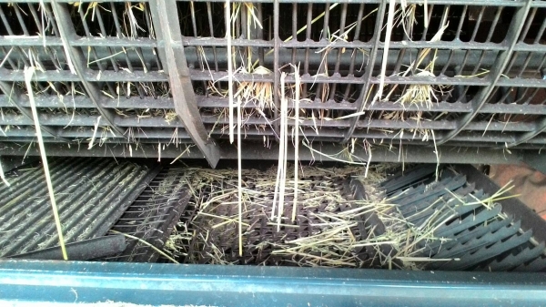 รถเกียว DC 68 G ปี 53 ราคาเบาฯ 278000 เทเลอร์พร้อม มีเล่มทะเบียน หลุดมันจำ ขายด่วน รถเกียว DC 68 G ปี 53 ราคาเบาฯ 2780000มีเล่มทะเบียน หลุดมันจำ ขายด่วน รถเกียว DC 68 G ปี 53 ราคาเบาฯ 278000 เทเลอร์พร้อม มีเล่มทะเบียน หลุดมันจำ ขายด่วน รถเกียว DC 68 G ปี 53 ราคาเบาฯ 2780000มีเล่มทะเบียน หลุดมันจำ ขายด่วน