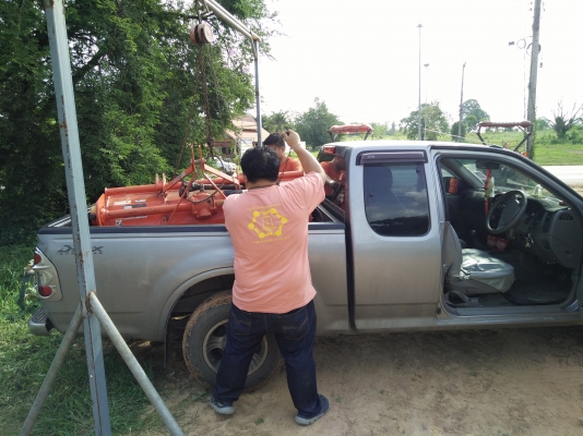 ขายโลตารี่ช้างสภาพสวยเดิม163เชนติเมตรถูกๆ