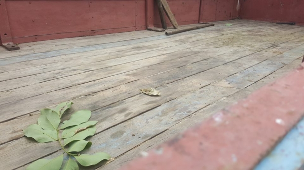 ขาย6ล้ออีซูซุNPR 115 แชชซีสวยเครื่องดี ภาษีเต็ม แชชซีสวย สภาพดีวิ่งงานประจำ ขาย6ล้ออีซูซุNPR 115 แชชซีสวยเครื่องดี ภาษีเต็ม แชชซีสวย สภาพดีวิ่งงานประจำ