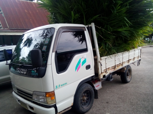 ปิดการแล้วคับ  แรงม้า 3059  CC( 100แรงม้า) ภาษีไม่ขาด พร้อมใช้งาน เล่มติดมือ.