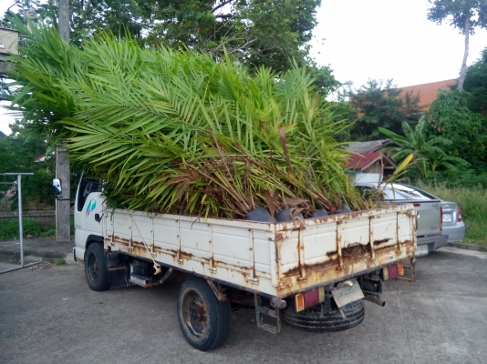 ปิดการแล้วคับ  แรงม้า 3059  CC( 100แรงม้า) ภาษีไม่ขาด พร้อมใช้งาน เล่มติดมือ.