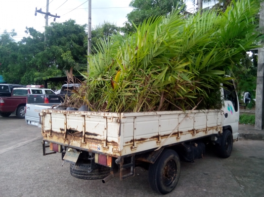 ปิดการแล้วคับ  แรงม้า 3059  CC( 100แรงม้า) ภาษีไม่ขาด พร้อมใช้งาน เล่มติดมือ.