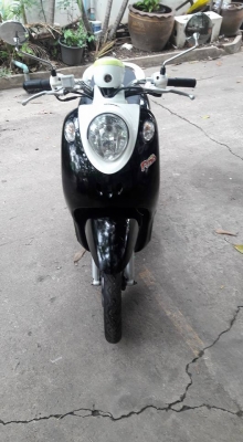 ขายลูกเดียว fino ท่ออามเดิมๆ ปี2554 ราคาเหมาะสม