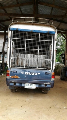 ขายกระบะ อีซูซุTFRแค็บ ปี37พร้อมหลังคา แชชซีสวยเครื่องแห้งทะเบียนพร้อมโอน ขายกระบะ อีซูซุTFRแค็บ ปี37พร้อมหลังคา แชชซีสวยเครื่องแห้งทะเบียนพร้อมโอน