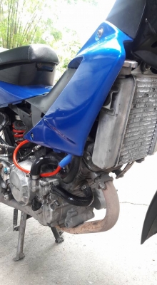 ขายลูกเดียว sonic ลูกโตชัก3ลั่นๆ ปี2548 ราคาเบาๆ