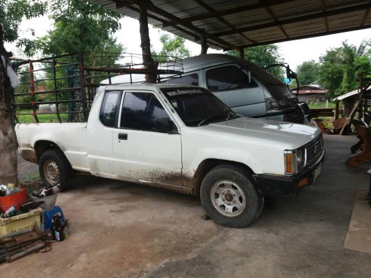 ขาย cyclone มีเล่ม