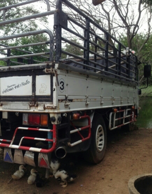 ขายแล้ว ครับ หกล้อ อีซูชุ NMR130ปี54 กะบะพื้นเรส ช่วงยาว 4.30ม สภาพดีสวยจัดเดิมๆสีเดิม ไม่มีชน ทะเบียนพร้อมโอน ราคา 665,000บ รถสวยๆน่าใช้