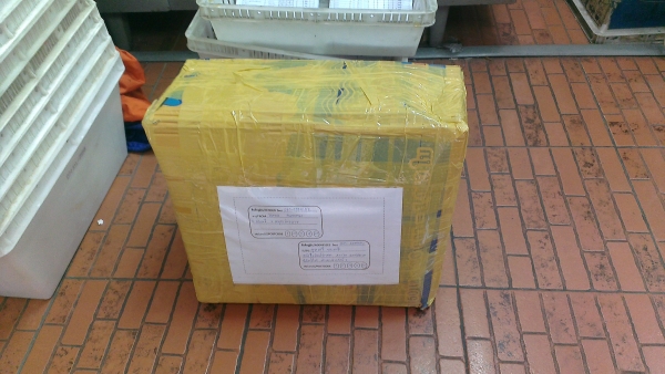 ขายปั้มน้ำ ปั้มชัก UMA 2000 L/H Motor 1/8 ขายตามสภาพ ขายปั้มน้ำ ปั้มชัก UMA 2000 L/H Motor 1/8 ขายตามสภาพ