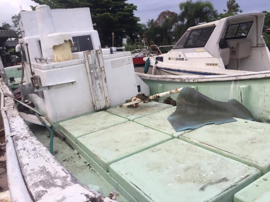 ขายเรือประมงไฟเบอร์ล้วน ไม่ต้องขึ้นคานทุกปี