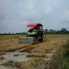 seller