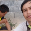 seller