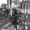 seller