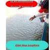 seller