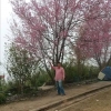 seller