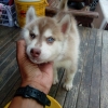 seller