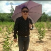 seller