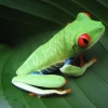 seller