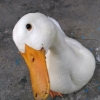 seller
